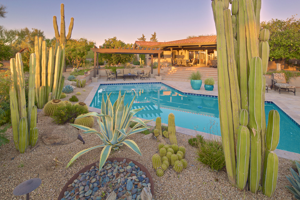 Großer Mediterraner Schwimmteich hinter dem Haus in individueller Form mit Betonboden in Phoenix