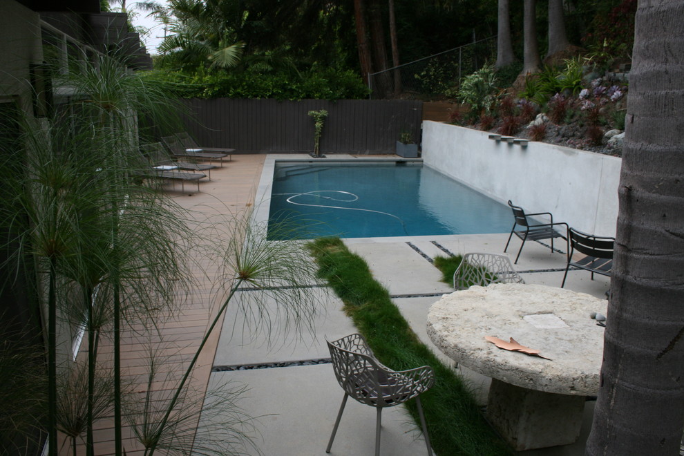 Imagen de piscina alargada contemporánea de tamaño medio rectangular en patio trasero con entablado
