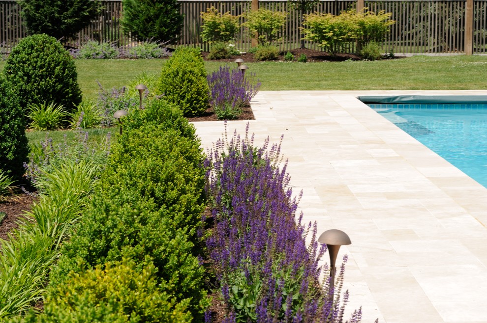 Diseño de piscina alargada actual rectangular en patio trasero con adoquines de piedra natural