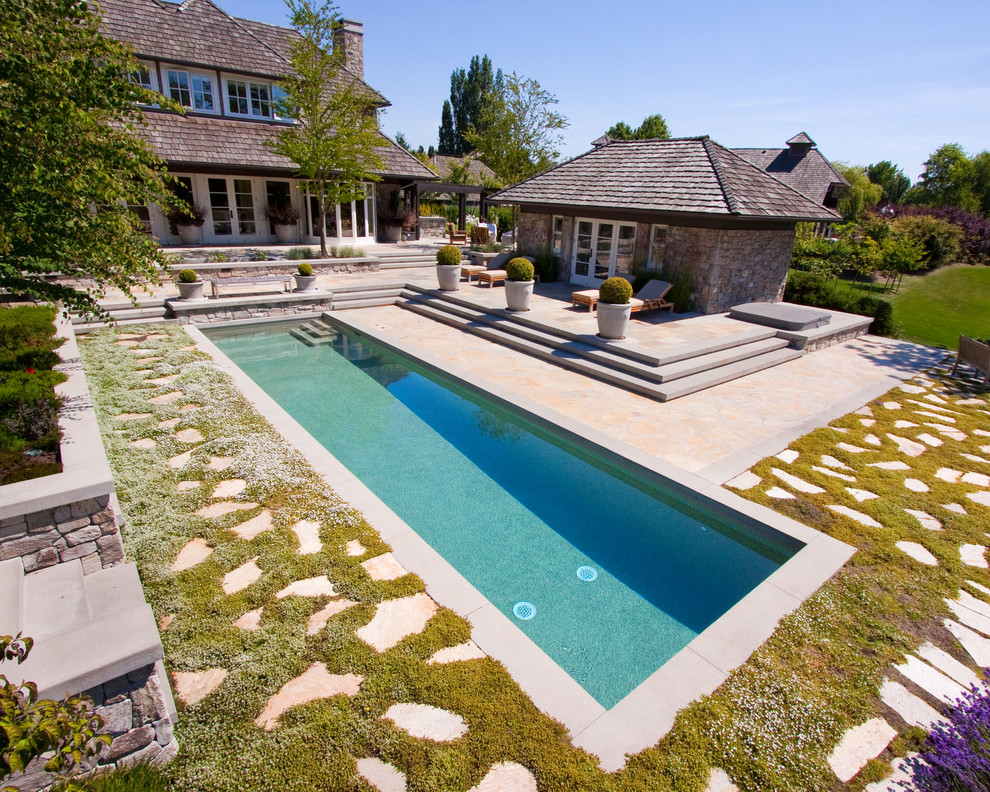 Diseño de piscina alargada tradicional rectangular en patio trasero