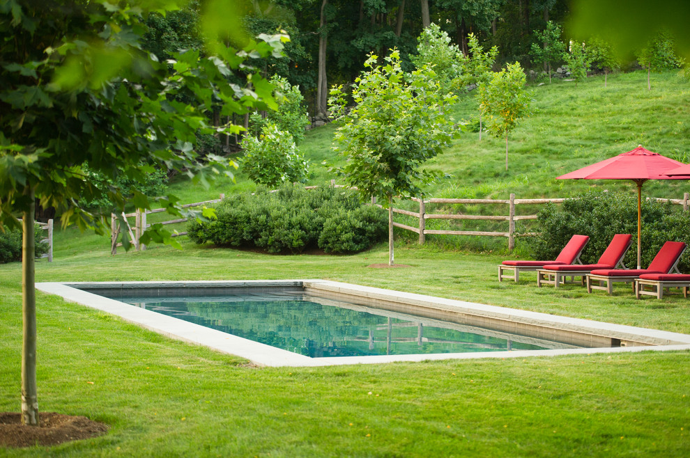 Источник вдохновения для домашнего уюта: прямоугольный бассейн в классическом стиле