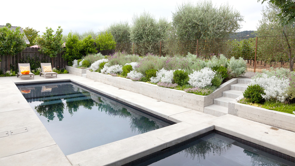 Immagine di una piscina classica rettangolare con una vasca idromassaggio e lastre di cemento