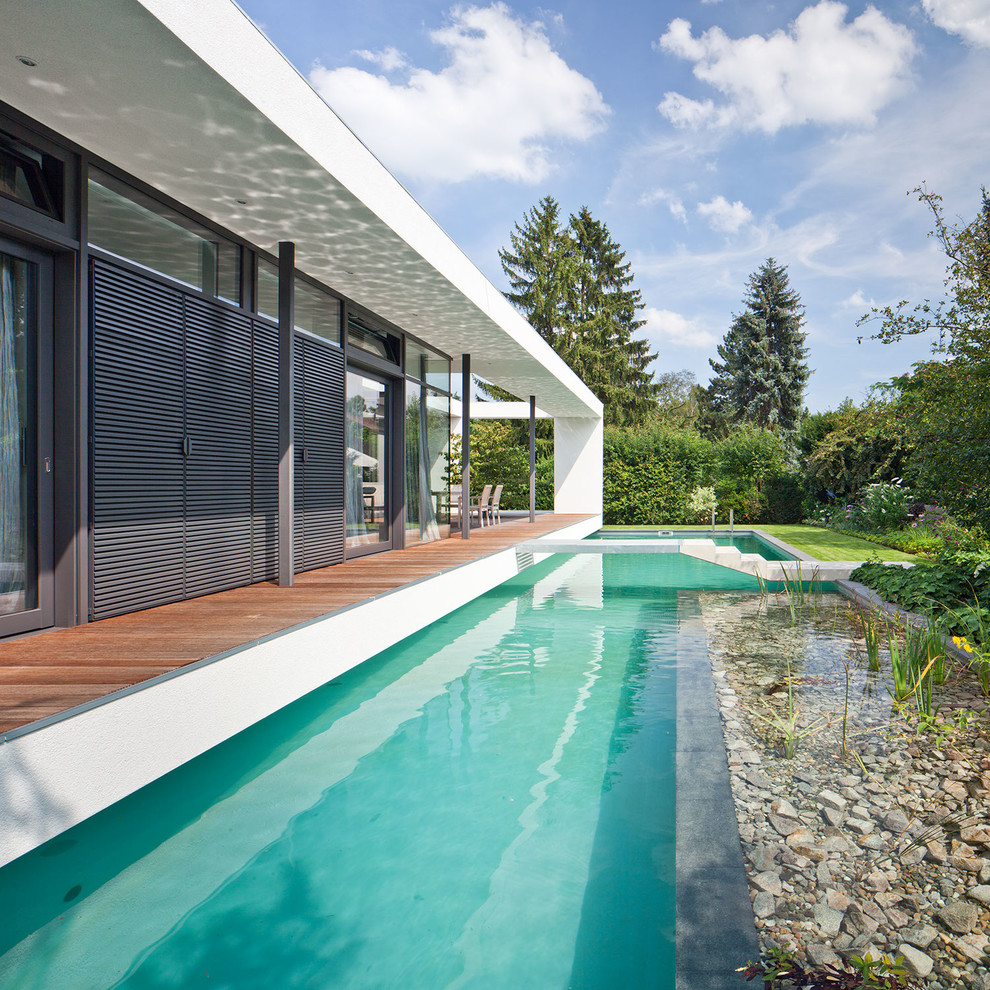 Réalisation d'une grande piscine naturelle et latérale design sur mesure avec un point d'eau et une terrasse en bois.