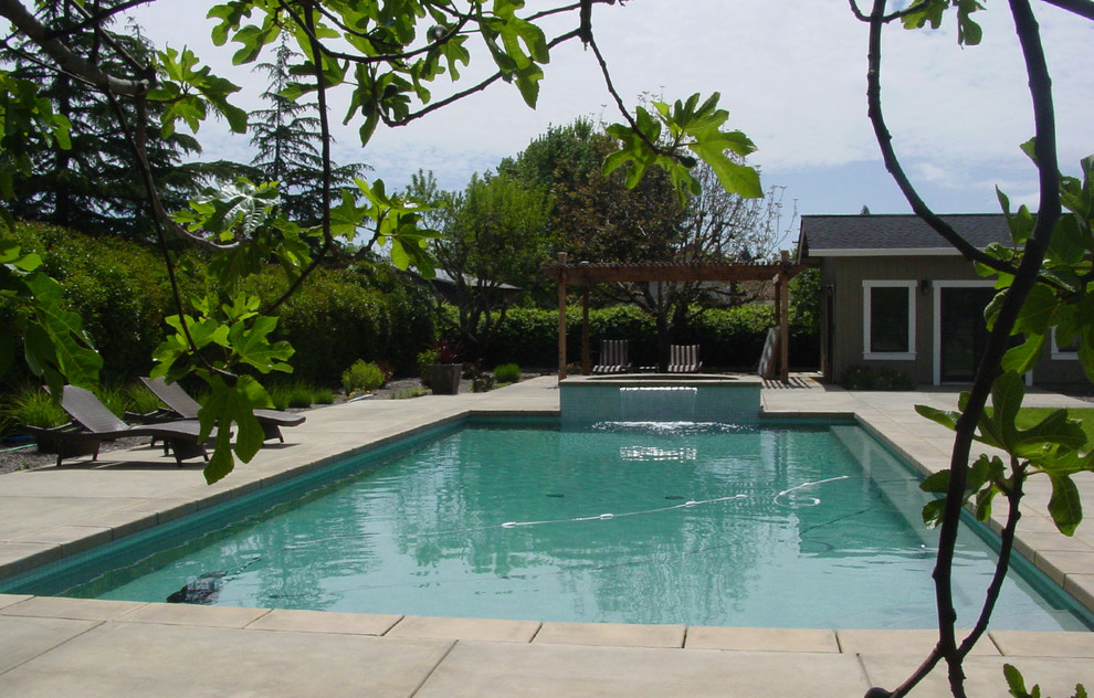 Идея дизайна: большой прямоугольный, спортивный бассейн на заднем дворе в современном стиле с домиком у бассейна и покрытием из бетонных плит