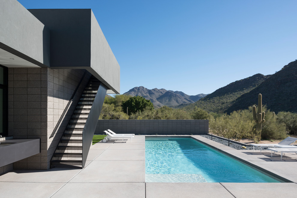 Источник вдохновения для домашнего уюта: прямоугольный, спортивный бассейн среднего размера на заднем дворе в стиле модернизм с покрытием из бетонных плит
