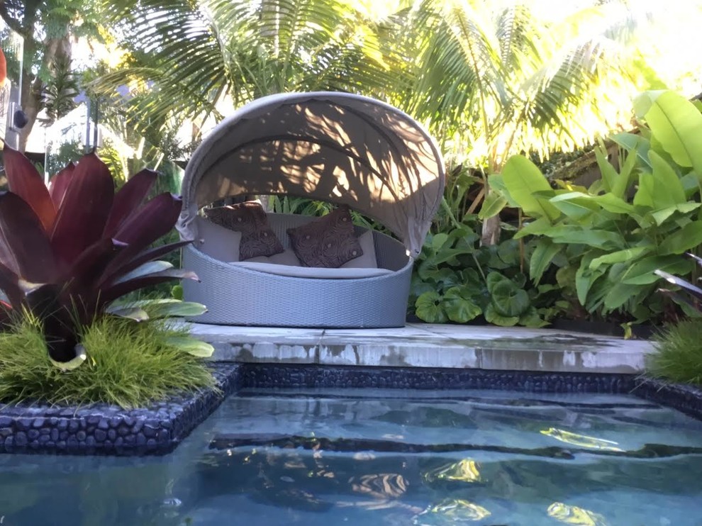 Modelo de piscina alargada exótica grande rectangular en patio trasero con paisajismo de piscina
