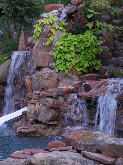 Tropical Oasis As Seen On Animal Planet The Pool Master Tropicale Piscina Dallas Di Pool Environments Inc