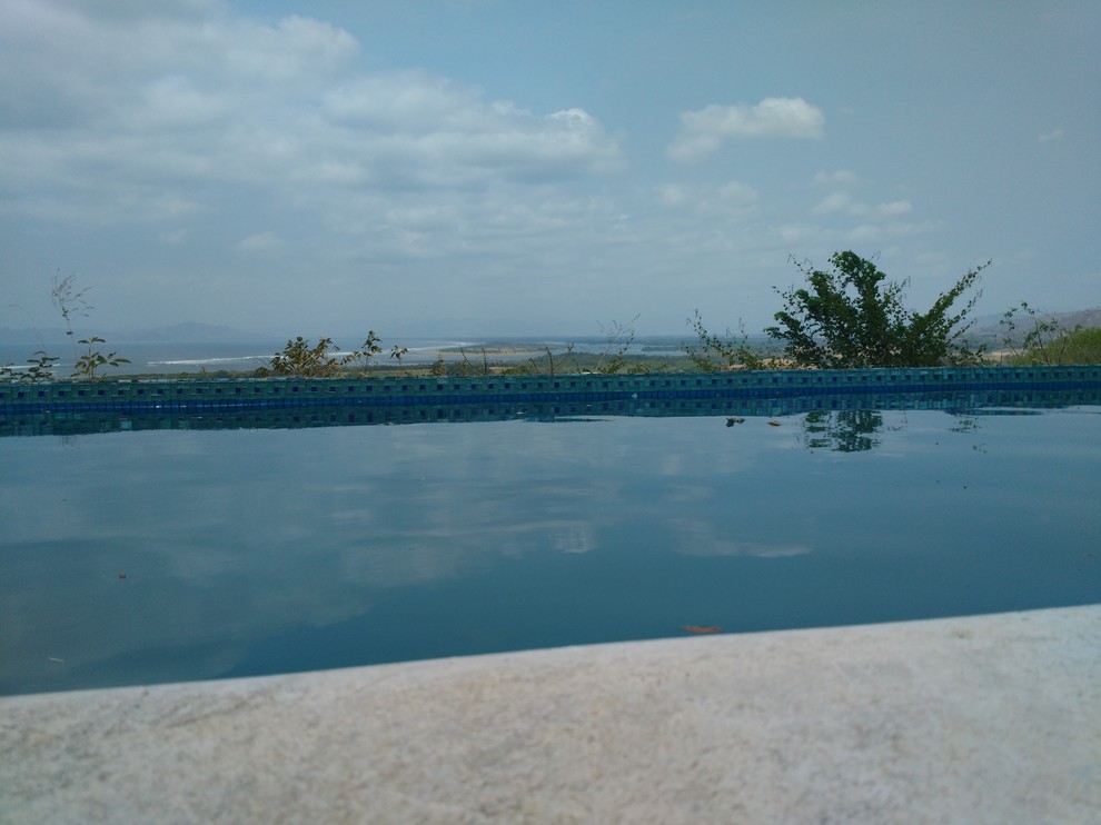 Esempio di una grande piscina a sfioro infinito american style rettangolare davanti casa con una dépendance a bordo piscina