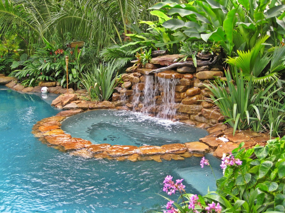Diseño de piscina tropical en patio trasero