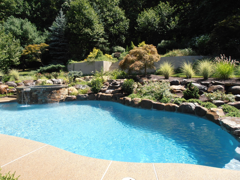 Aménagement d'une piscine naturelle et arrière classique sur mesure avec un point d'eau et une terrasse en bois.