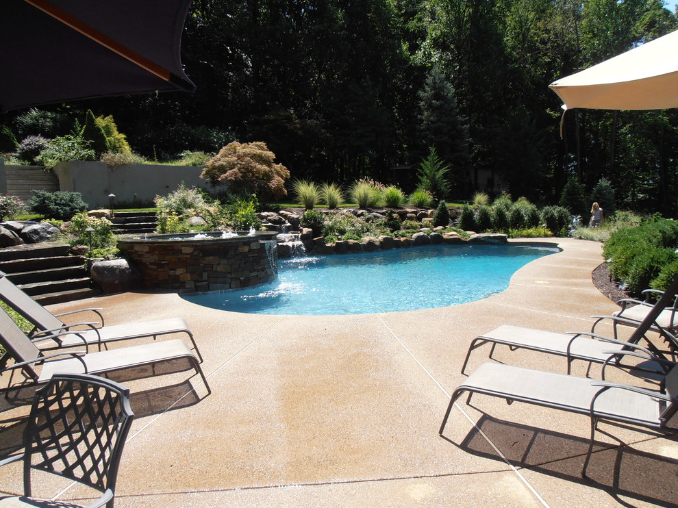 Immagine di una piscina naturale chic personalizzata dietro casa con fontane e pedane