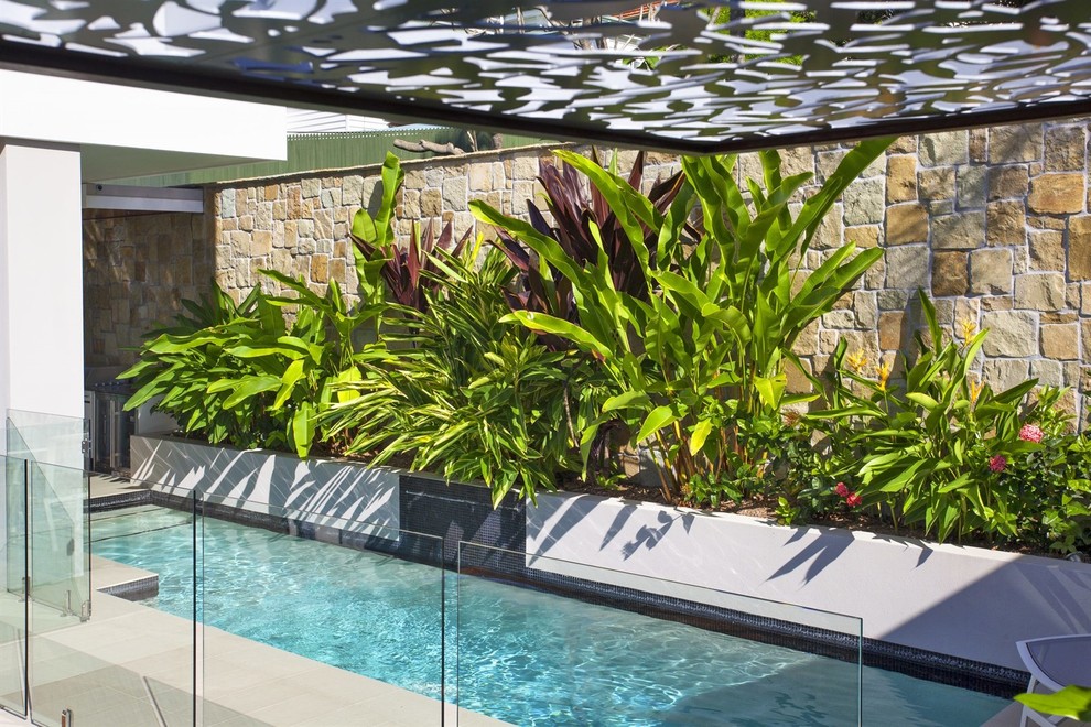Photo of a contemporary swimming pool in Brisbane.