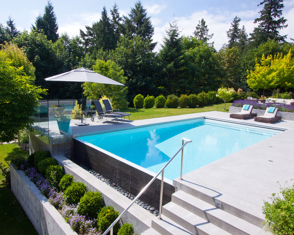Diseño de piscina infinita minimalista rectangular en patio trasero
