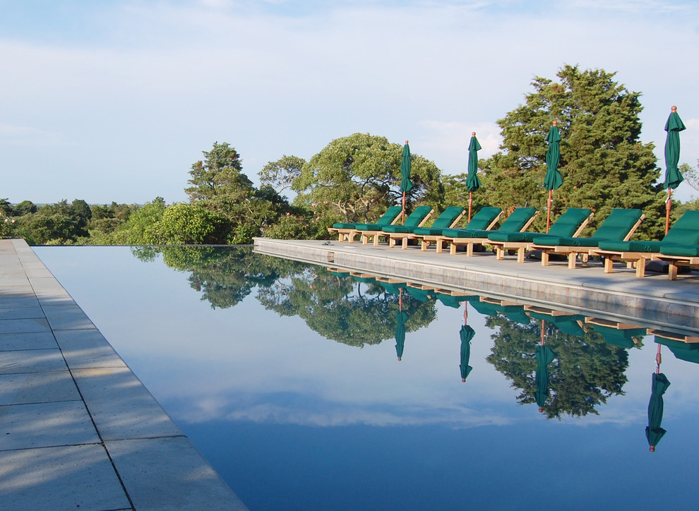 Ispirazione per una grande piscina a sfioro infinito minimalista rettangolare con pavimentazioni in pietra naturale e paesaggistica bordo piscina