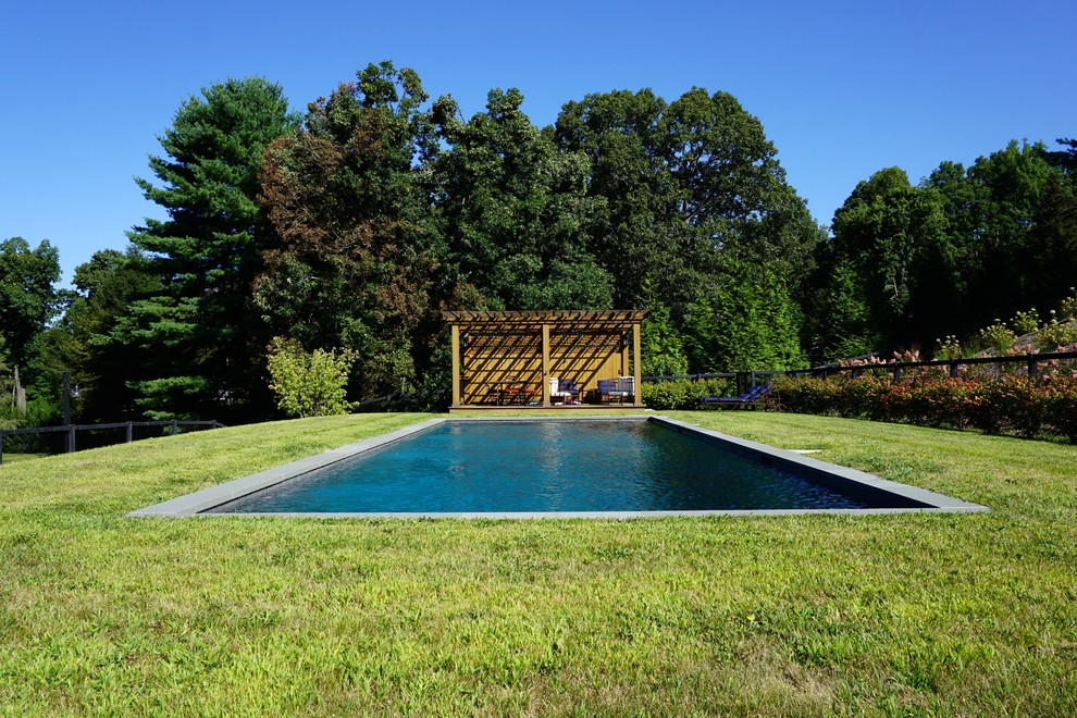 Modelo de piscina alargada moderna de tamaño medio rectangular en patio trasero con losas de hormigón