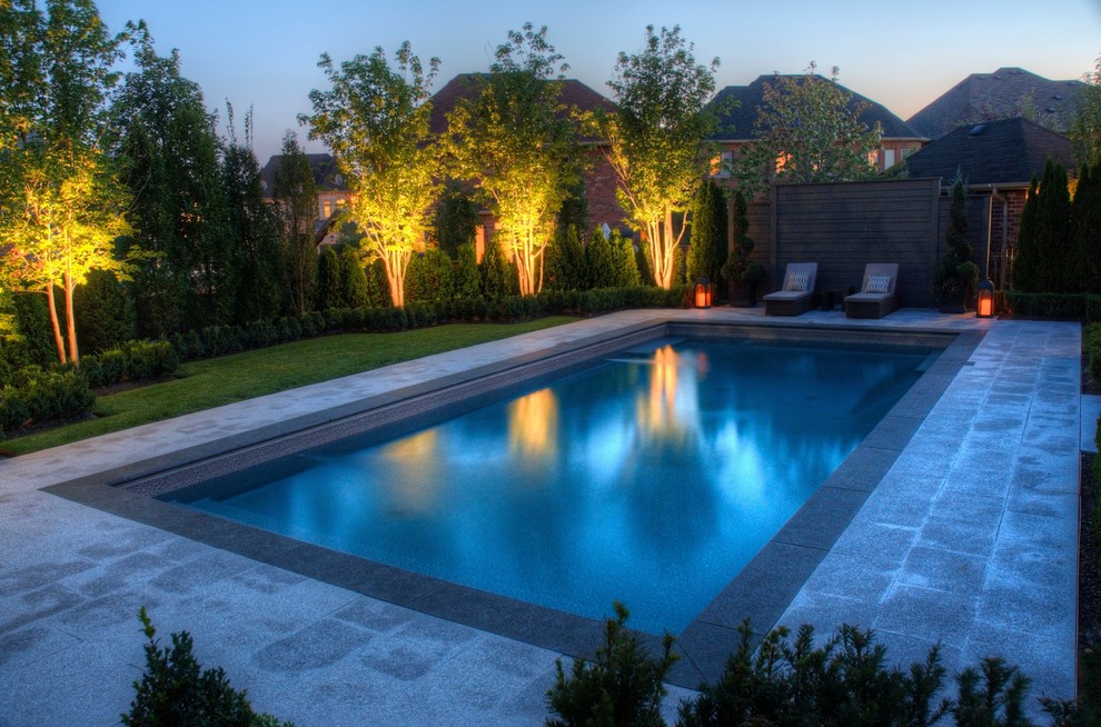 Modelo de piscina natural tradicional renovada rectangular en patio trasero con adoquines de piedra natural
