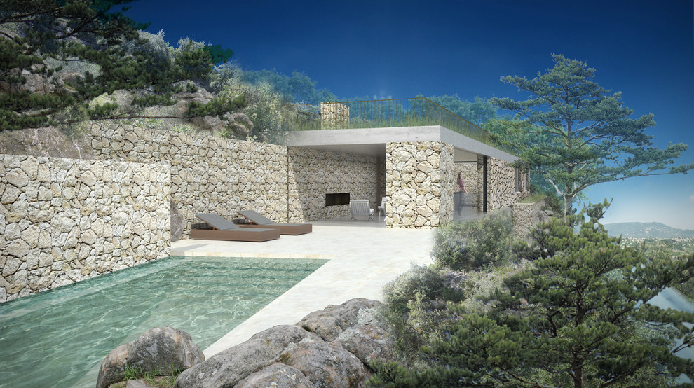 Modelo de piscina natural actual de tamaño medio rectangular en patio lateral con adoquines de piedra natural