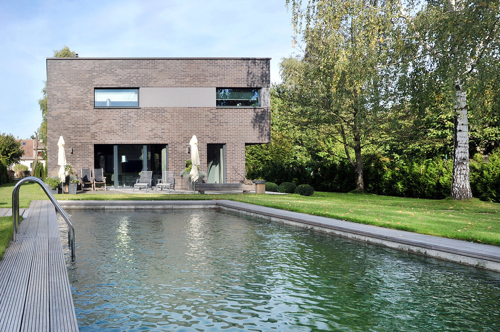 Mittelgroßer Moderner Schwimmteich hinter dem Haus in rechteckiger Form mit Dielen in Berlin