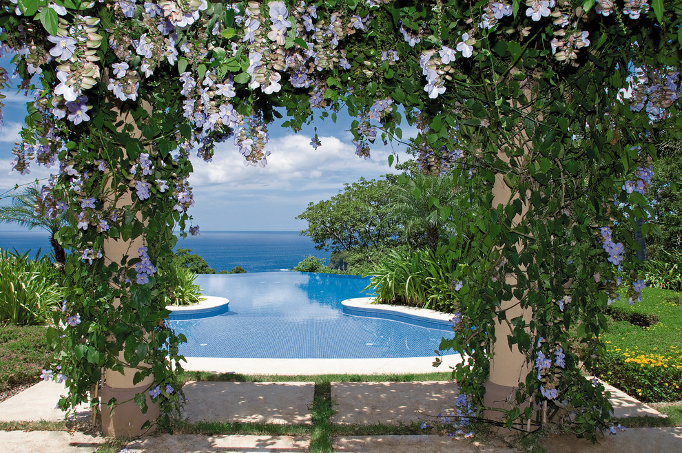 Example of a mid-sized tuscan backyard kidney-shaped infinity pool design in Other