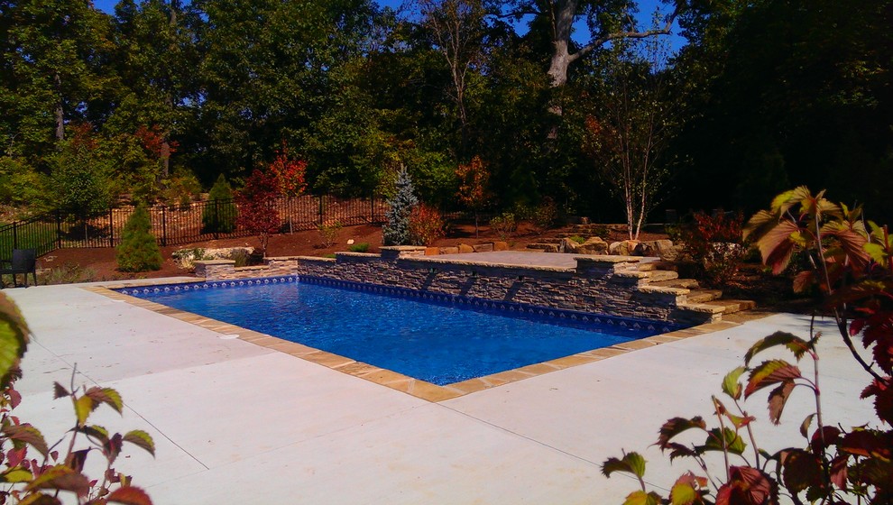 Esempio di una piscina naturale contemporanea rettangolare di medie dimensioni e dietro casa con cemento stampato