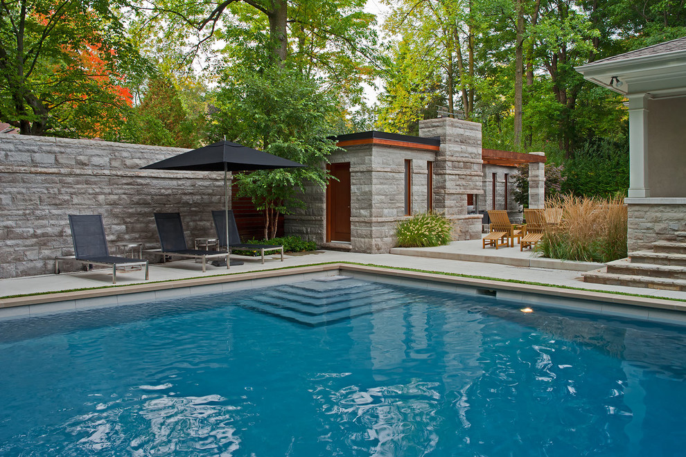 Идея дизайна: бассейн на заднем дворе в современном стиле