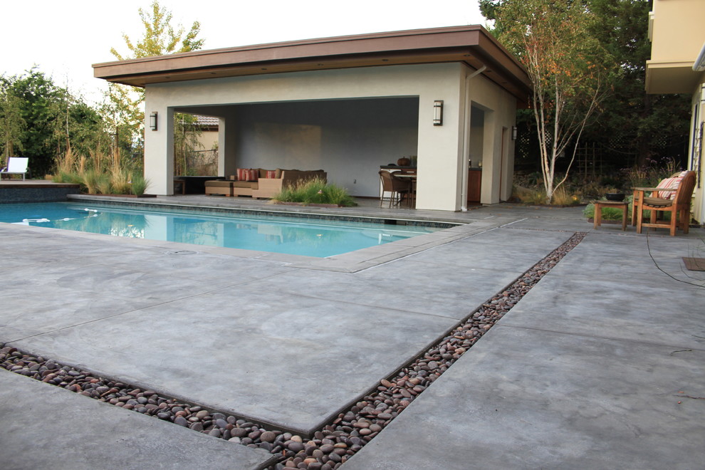 Пример оригинального дизайна: большой естественный, прямоугольный бассейн на заднем дворе в современном стиле с фонтаном и мощением тротуарной плиткой