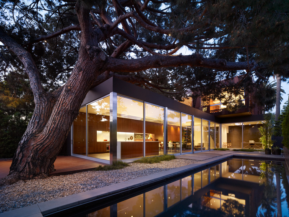 Moderner Pool hinter dem Haus in rechteckiger Form mit Betonplatten in Los Angeles