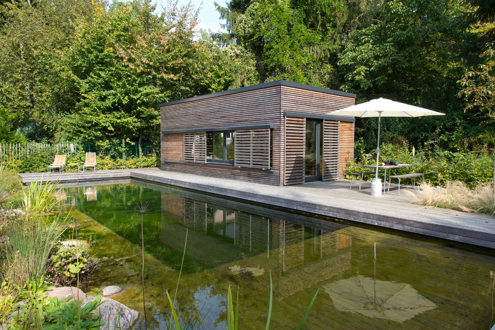Modelo de casa de la piscina y piscina natural contemporánea grande rectangular en patio trasero con entablado