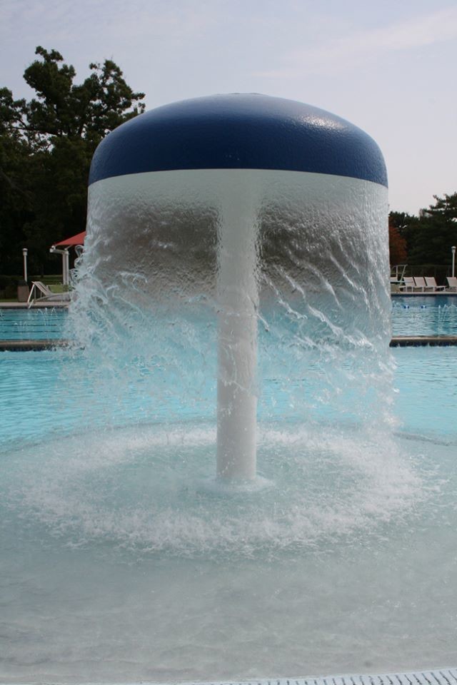 Exemple d'une grande piscine exotique sur mesure avec un point d'eau.
