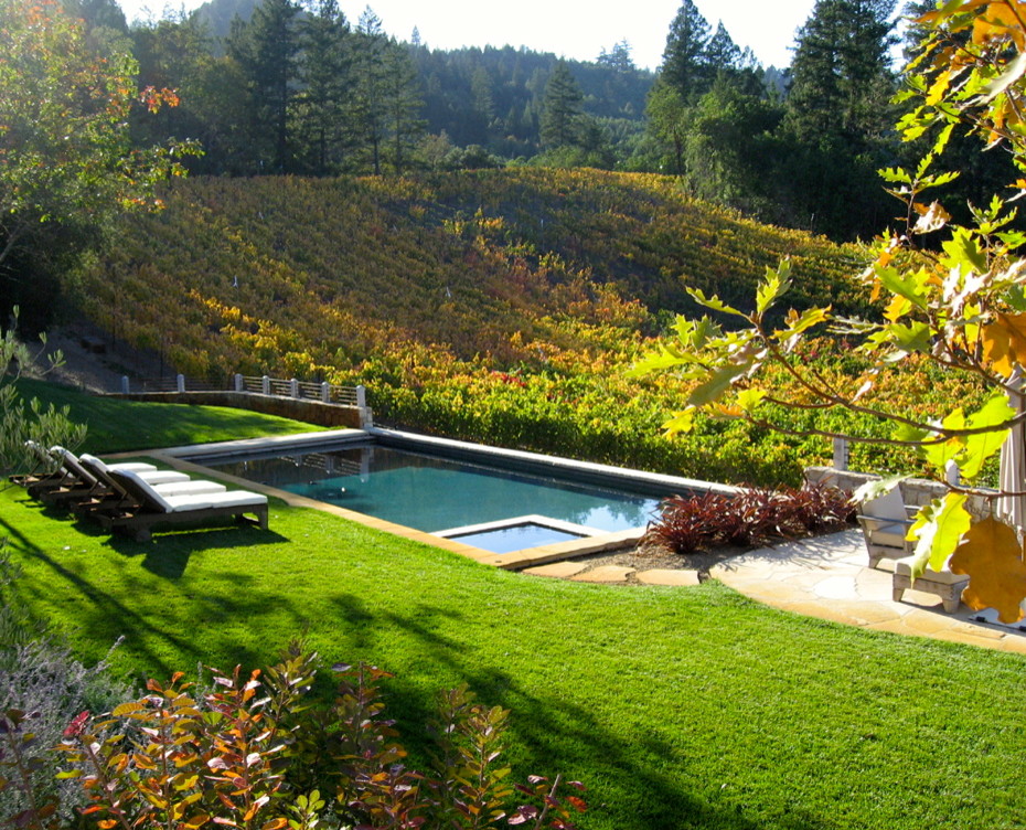 Modelo de piscina infinita moderna grande rectangular en patio trasero con adoquines de piedra natural