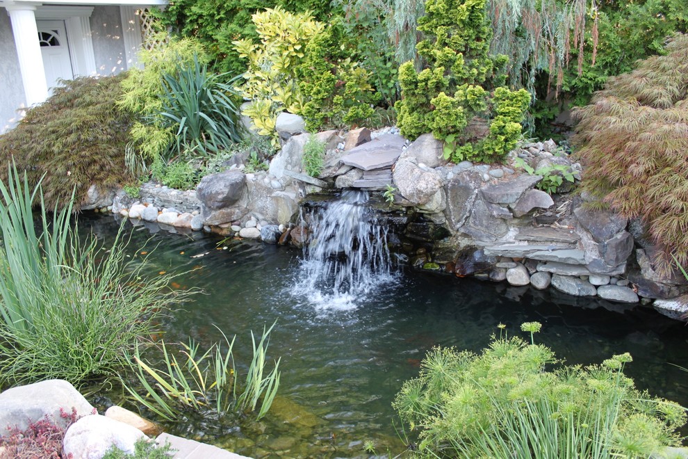 Waterfall and Pond Traditional Pool New York by Grecian Pools