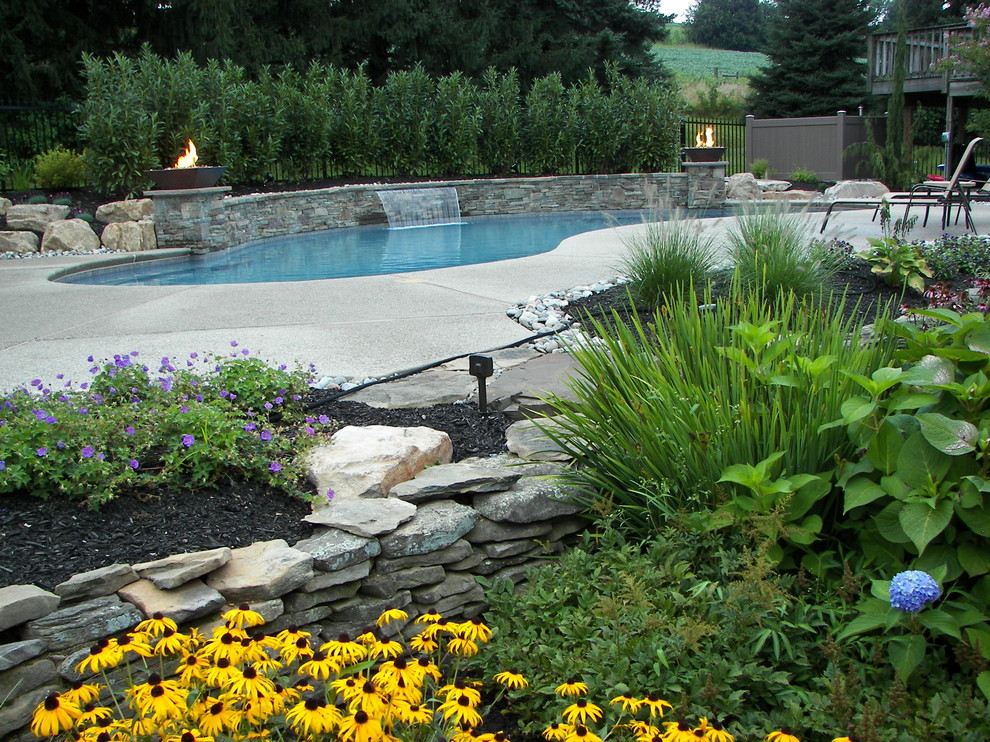 Immagine di una piscina naturale tradizionale a "C" dietro casa con pedane