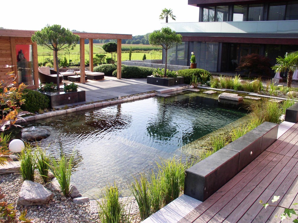 Foto di una grande piscina naturale contemporanea rettangolare dietro casa con pedane e una dépendance a bordo piscina