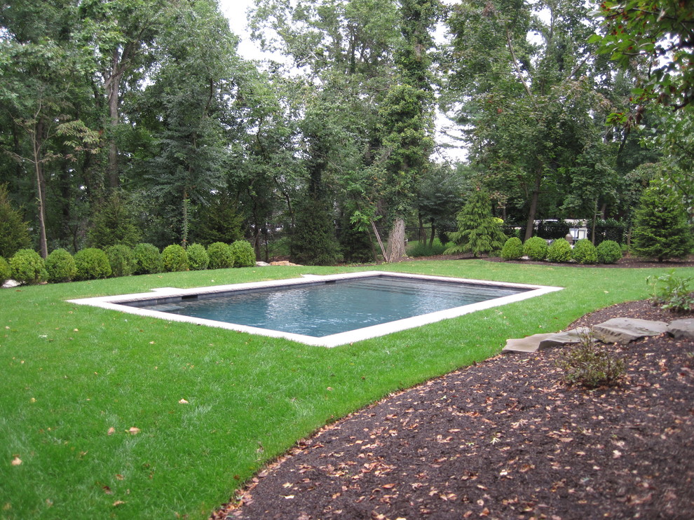 Foto di una piscina monocorsia tradizionale rettangolare di medie dimensioni e dietro casa con lastre di cemento