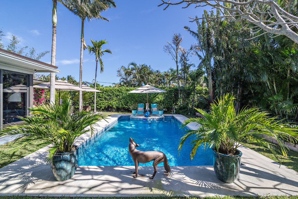 Ejemplo de piscina alargada tropical rectangular en patio trasero con losas de hormigón