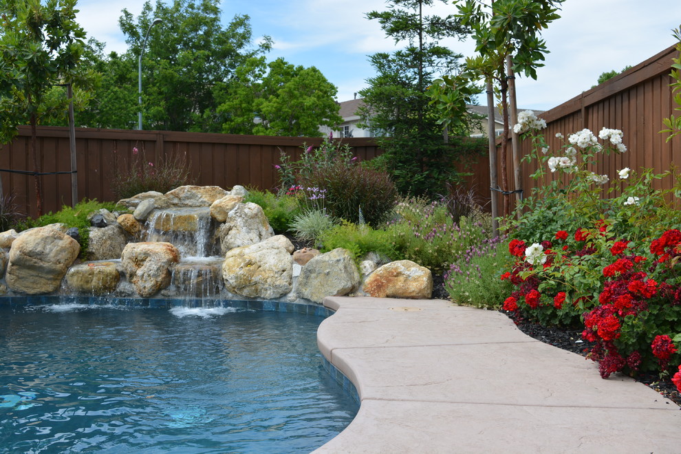 Foto di una piscina naturale shabby-chic style personalizzata di medie dimensioni e dietro casa con fontane e lastre di cemento