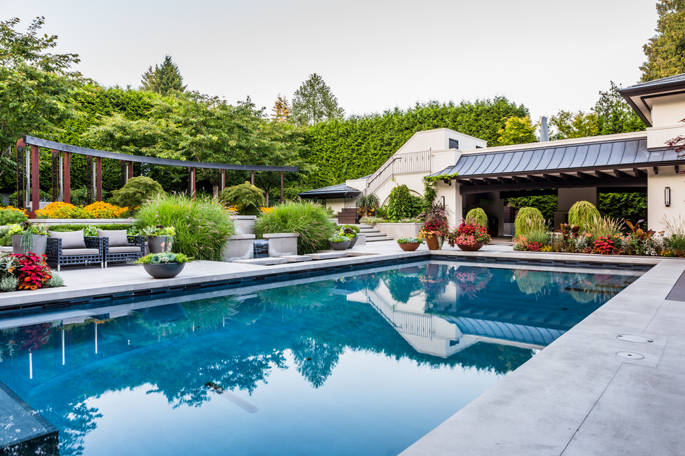Свежая идея для дизайна: прямоугольный бассейн на заднем дворе в восточном стиле с покрытием из бетонных плит - отличное фото интерьера