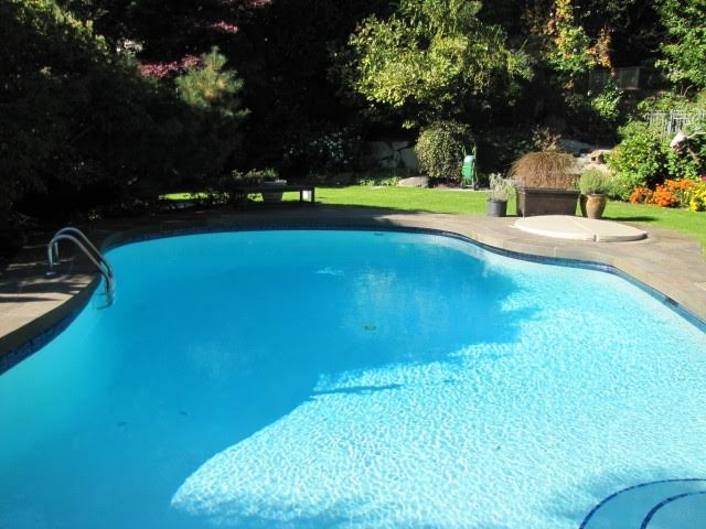 Diseño de piscina alargada clásica grande a medida en patio trasero con adoquines de hormigón