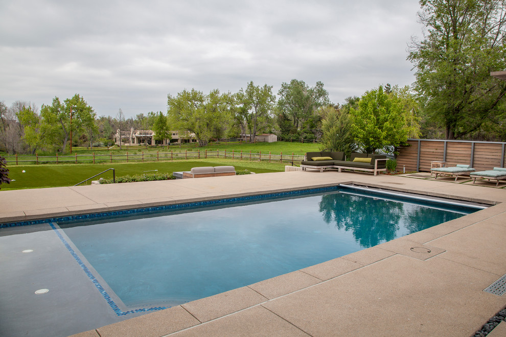 Western Exposure Modern Pool Denver by TLC Gardens Houzz