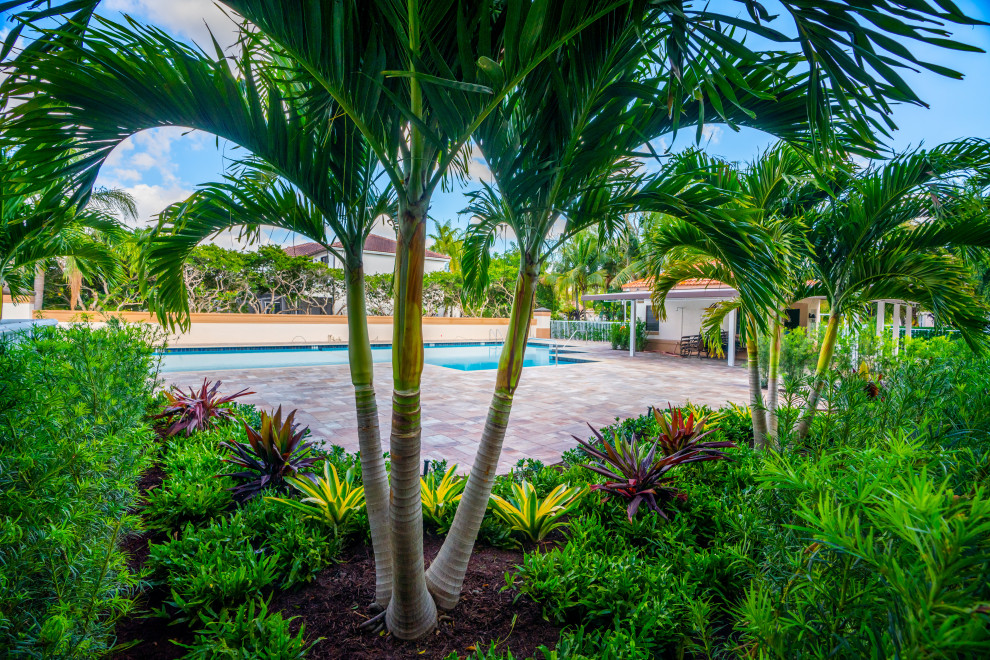 Foto de piscina alargada tropical grande a medida en patio trasero con paisajismo de piscina y adoquines de hormigón