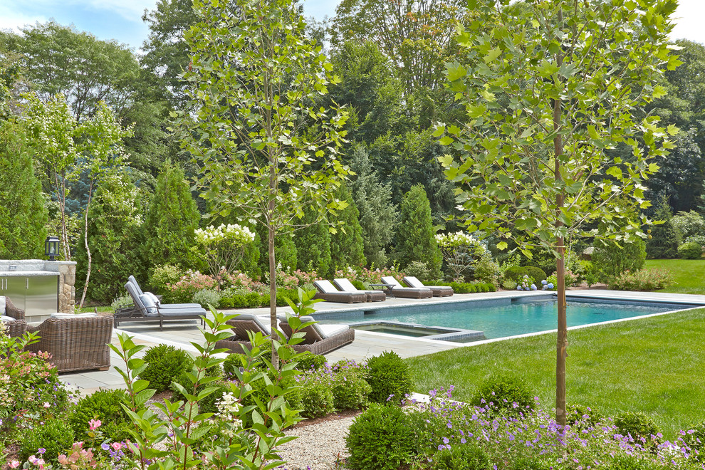 Пример оригинального дизайна: большой естественный, прямоугольный бассейн на заднем дворе в классическом стиле с джакузи и покрытием из каменной брусчатки