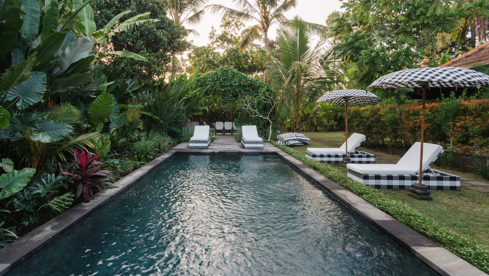 Immagine di una piscina contemporanea rettangolare dietro casa con paesaggistica bordo piscina