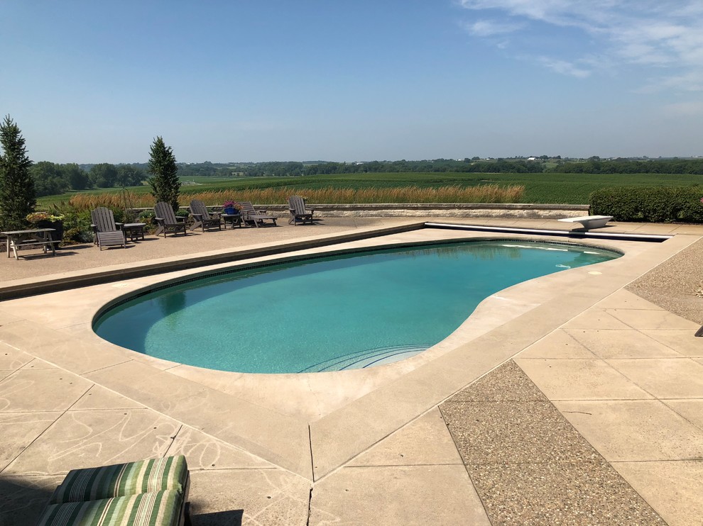 Williamsburg, IA Modern Kidney Shaped Swimming Pool Remodel