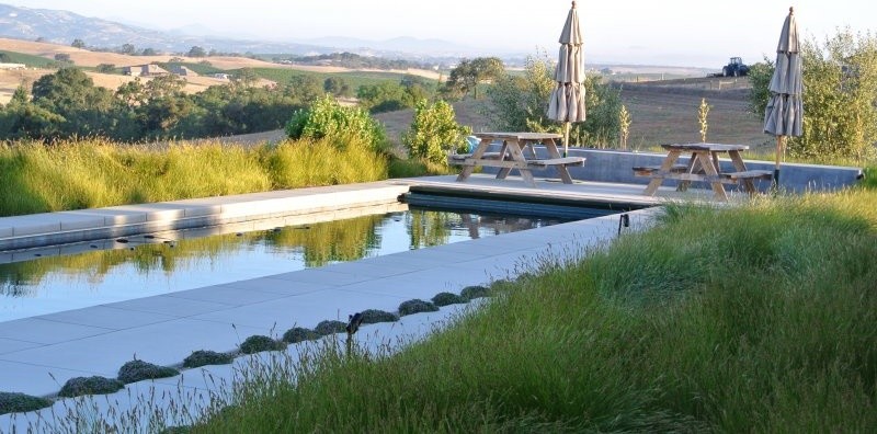 This is an example of a contemporary swimming pool in San Luis Obispo.