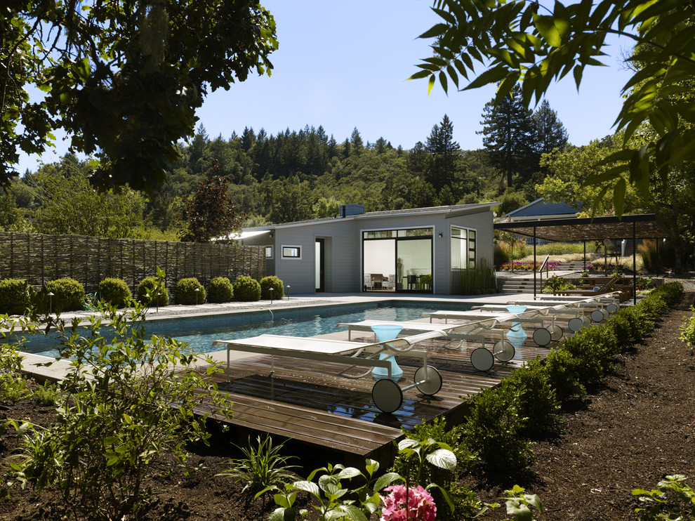 Cette image montre une piscine design rectangle avec une terrasse en bois.