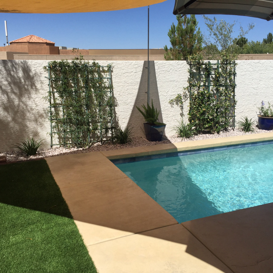 Imagen de piscina alargada tradicional de tamaño medio rectangular en patio trasero con losas de hormigón