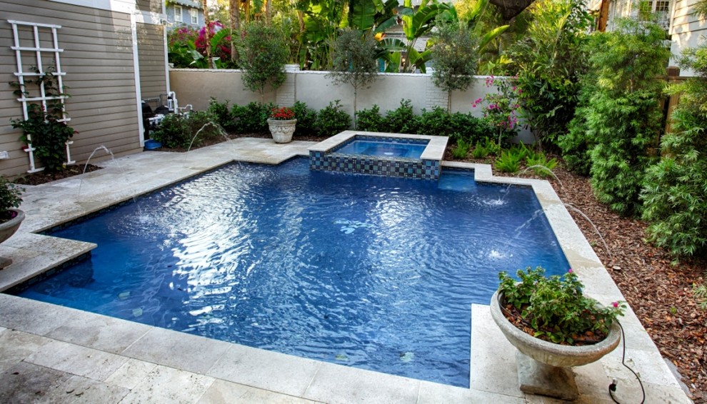 This is an example of a contemporary swimming pool in Tampa.