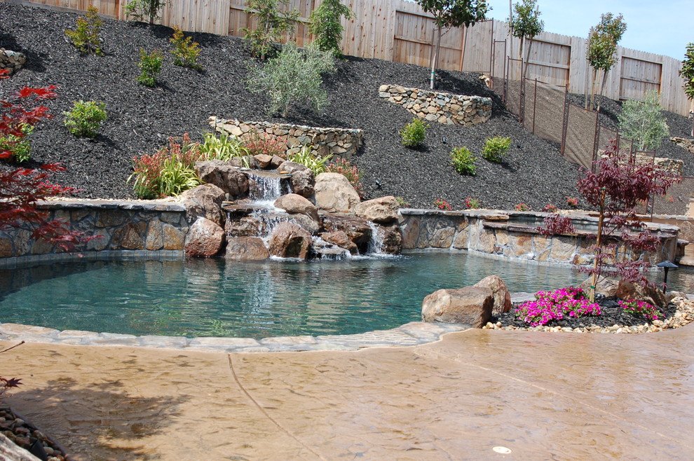 Photo of a large world-inspired back custom shaped swimming pool in Sacramento with a water feature and stamped concrete.