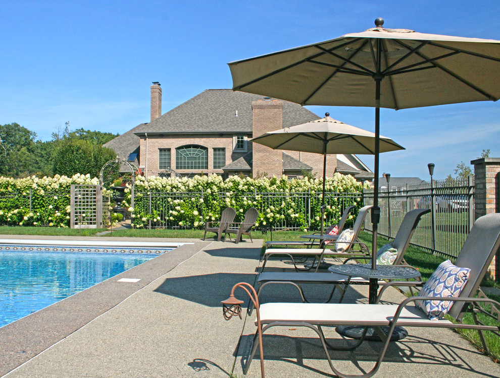 Foto de casa de la piscina y piscina tradicional grande rectangular en patio trasero con adoquines de piedra natural