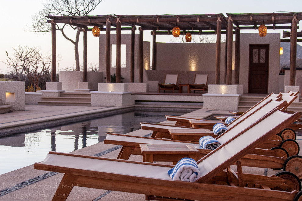 Large minimalist backyard concrete and rectangular lap pool photo in Mexico City